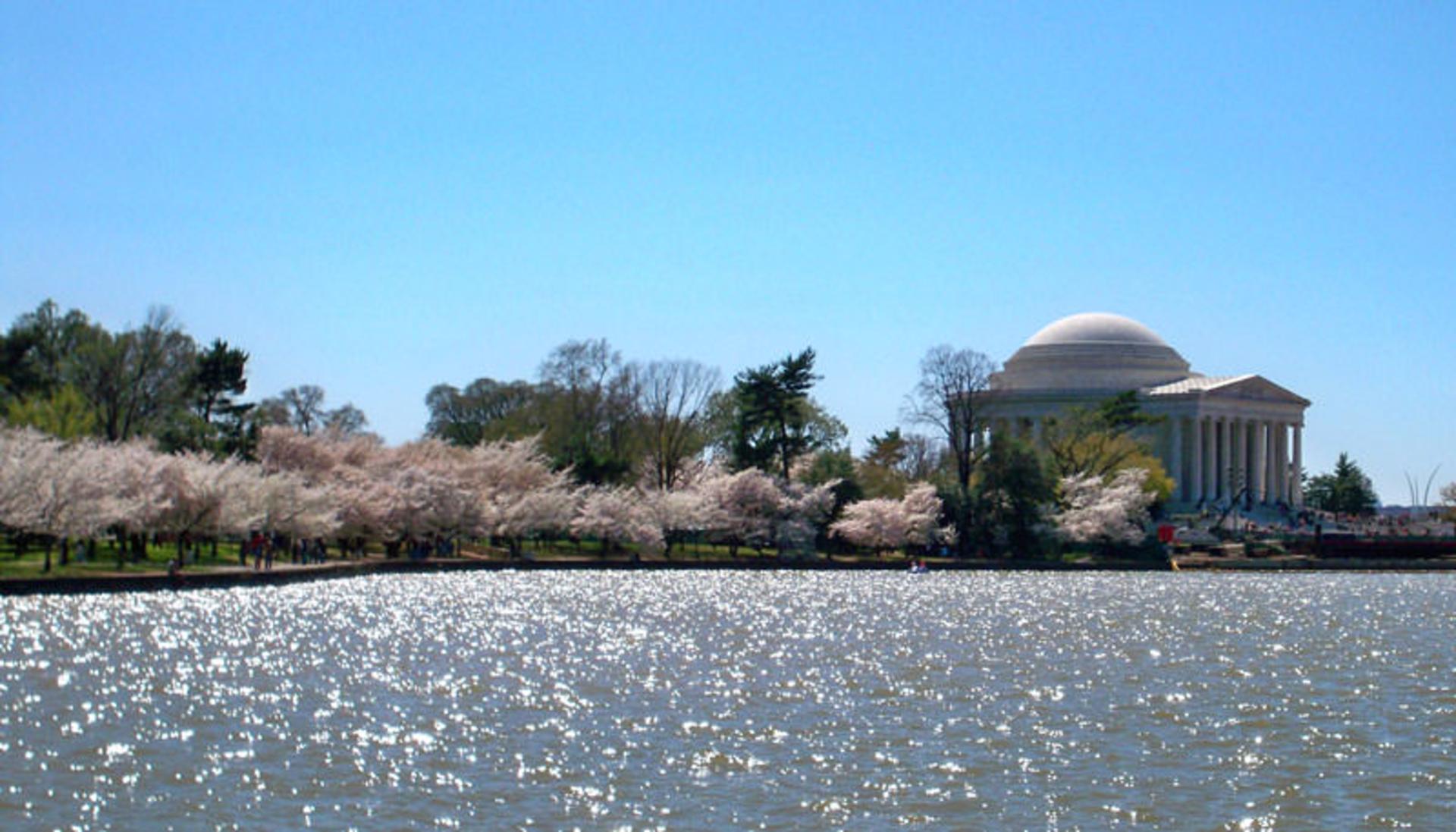آبگیر تیدال (Tidal Basin)