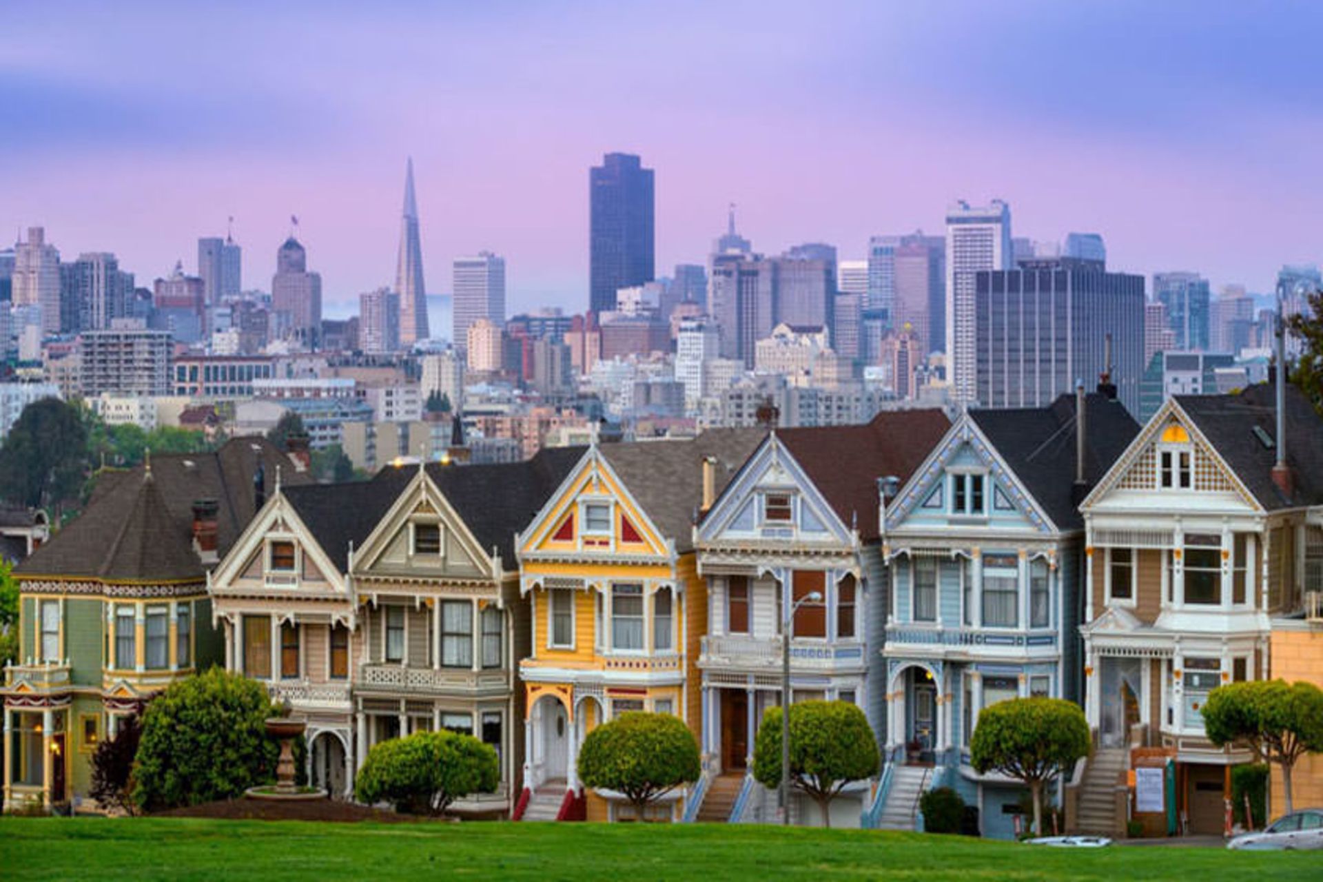 خانم های رنگی (Painted ladies)
