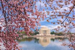 آبگیر تیدال (Tidal Basin)
