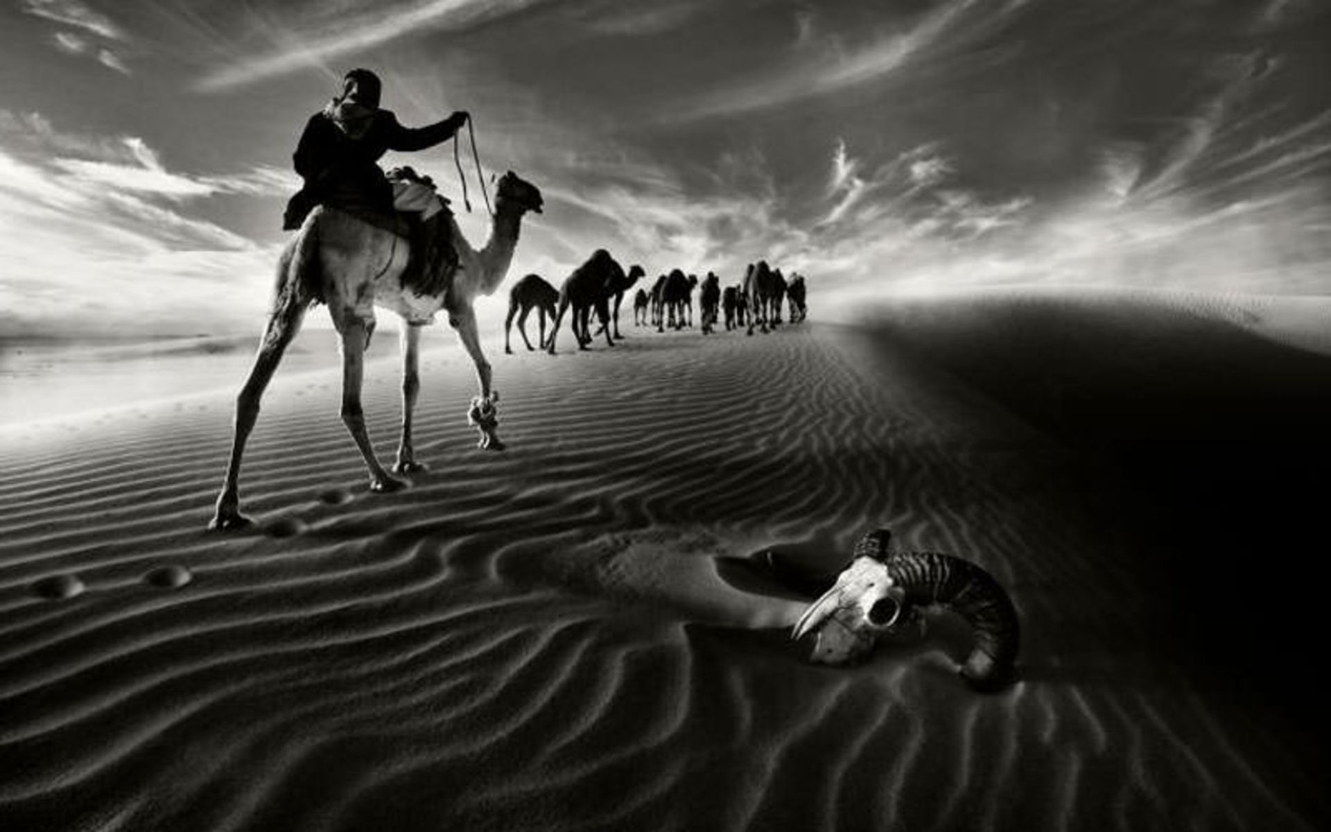 عکس های ترسناک 