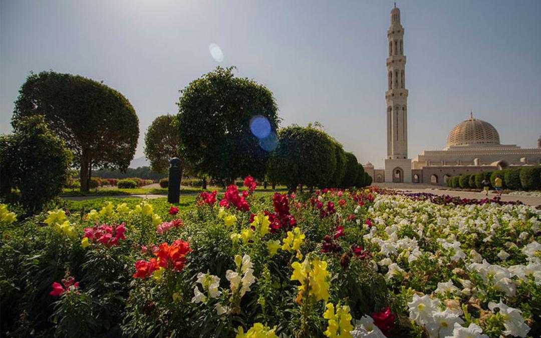 عمان 
