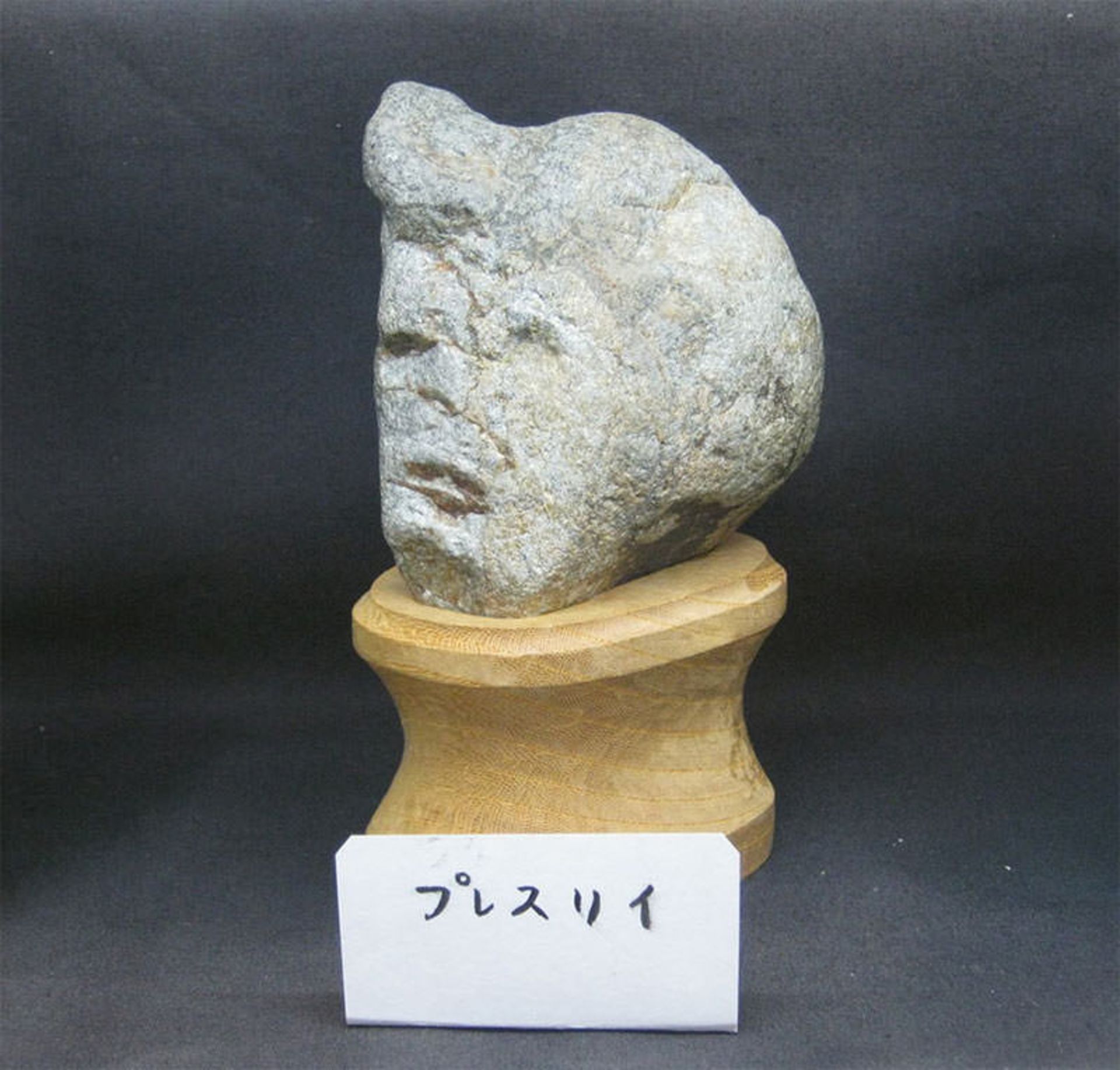 سنگ شبیه الویس پریسلی
