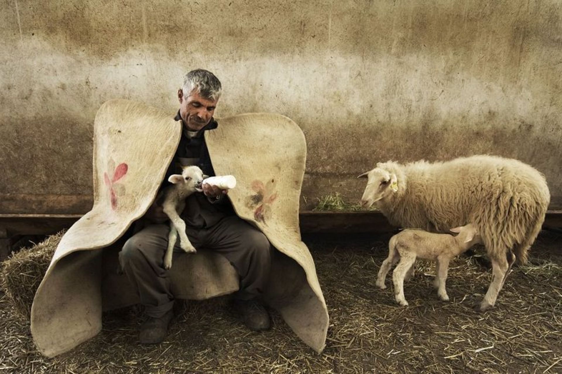 عکس روز نشنال جئوگرافی
