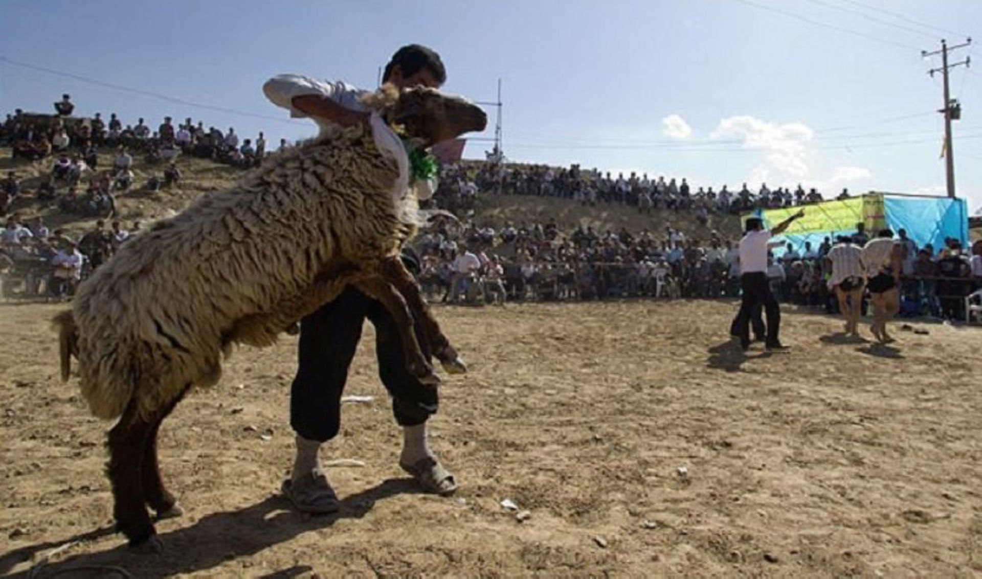 جایزه کشتی با چوخه