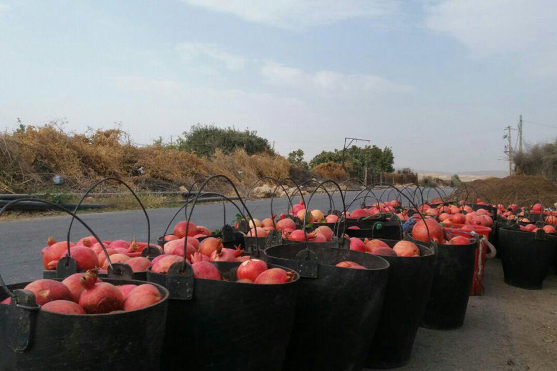 انار تنگ سیاب