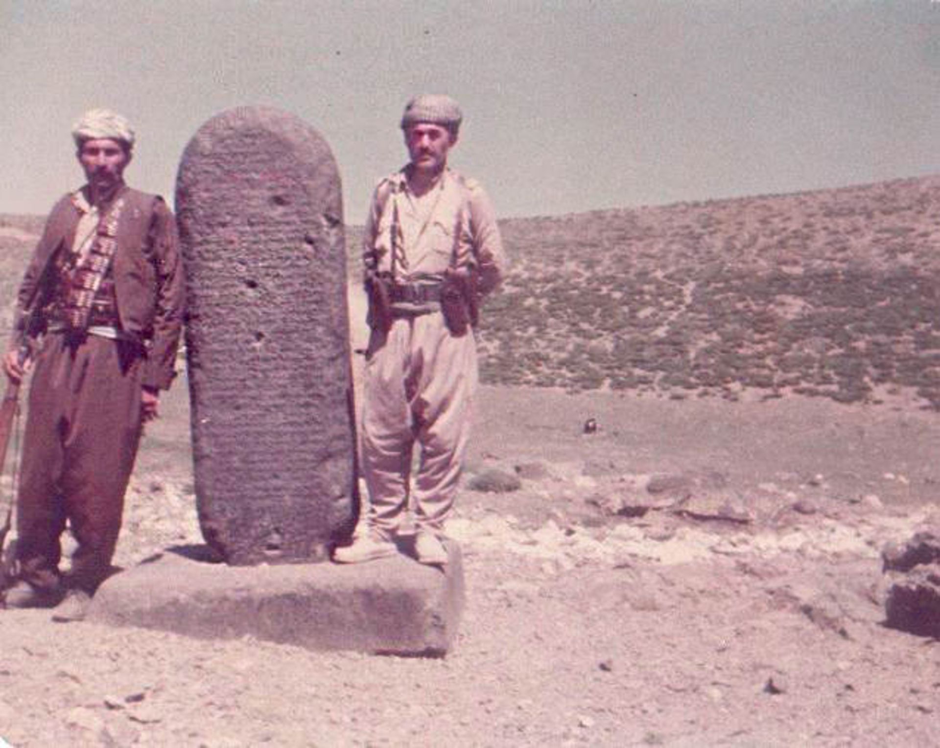 کله شین