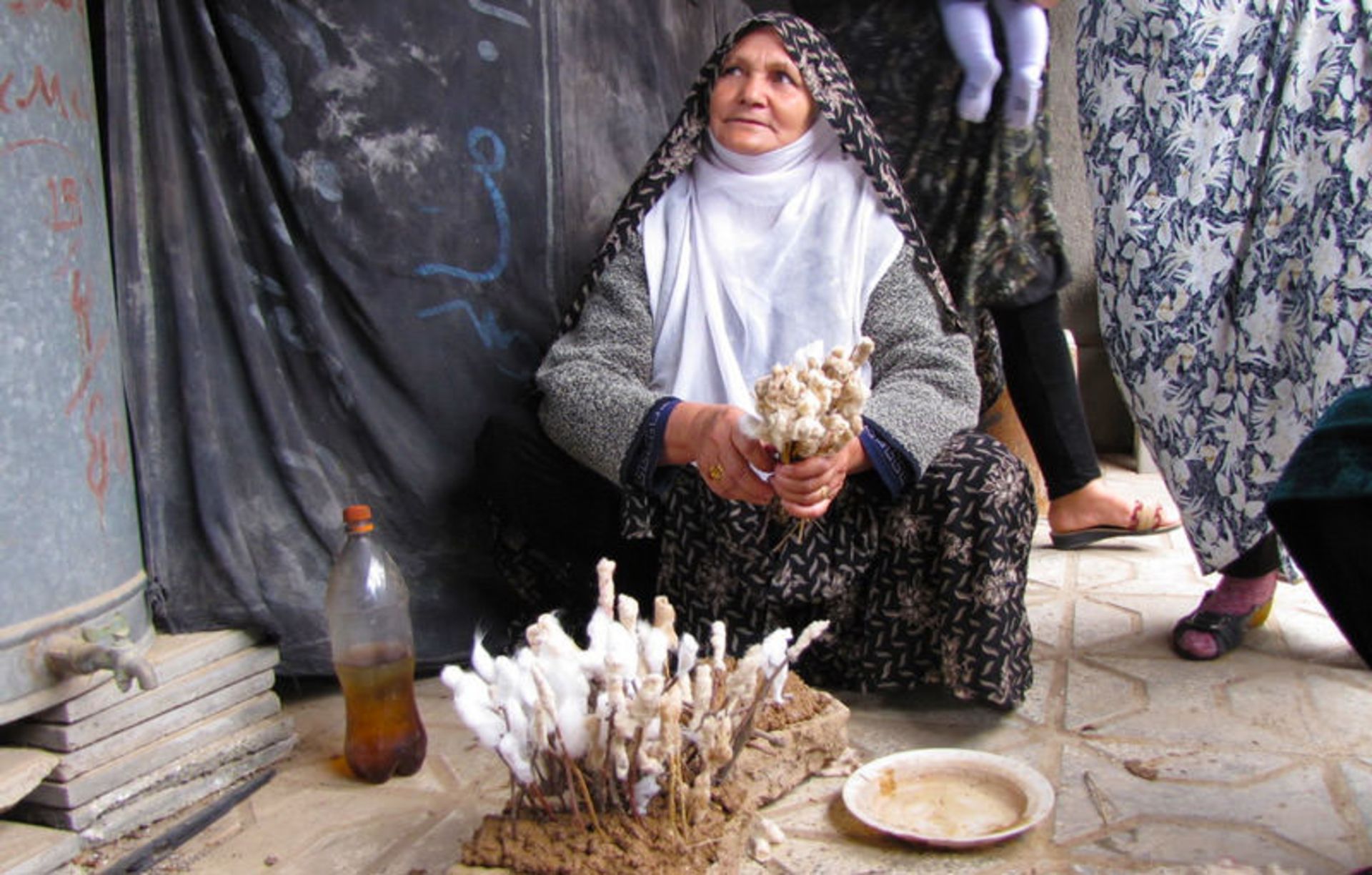 مراسم بی بی گردی خراسان جنوبی