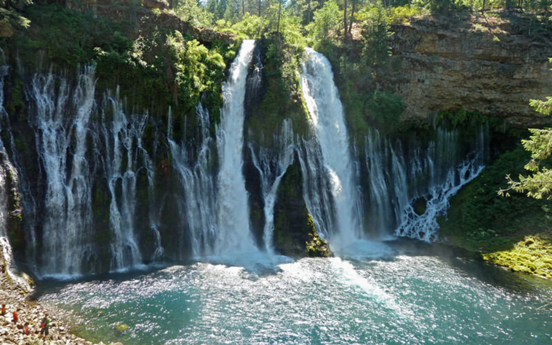 جنگل ملی ترینیتی شستا (Shasta-Trinity)