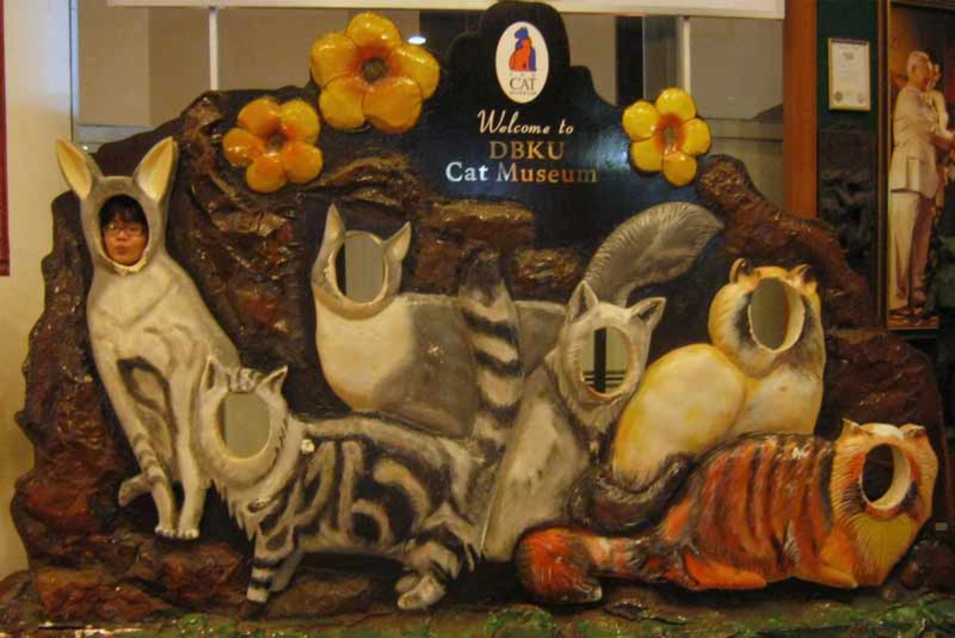 موزه گربه کوچینگ