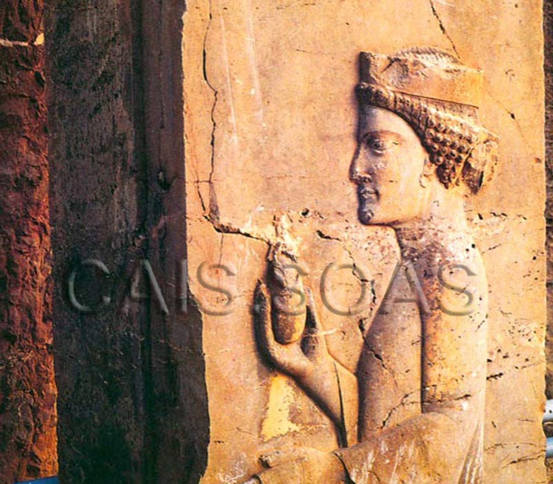 زن در تخت جمشید