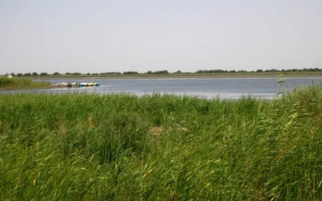 شهرستان گنبدکاووس