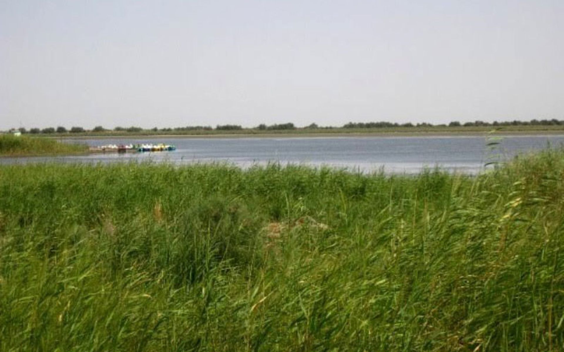 شهرستان گنبدکاووس