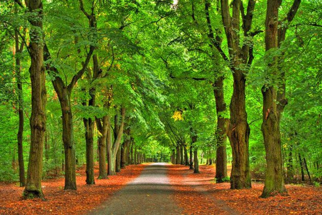 جاذبه های گردشگری برلین