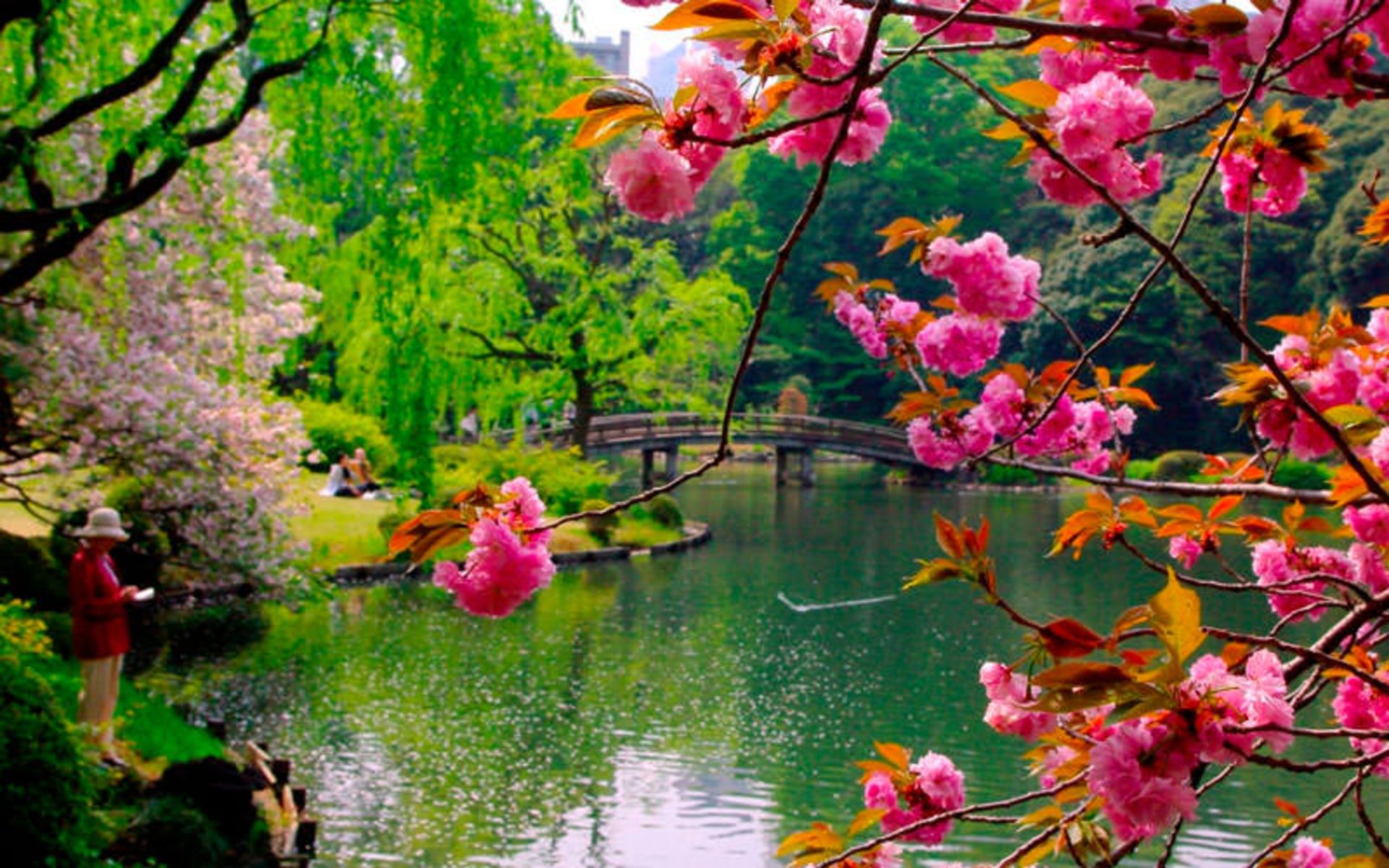 پارک ملی شینجوکو گیوئن (Shinjuku Gyoen)