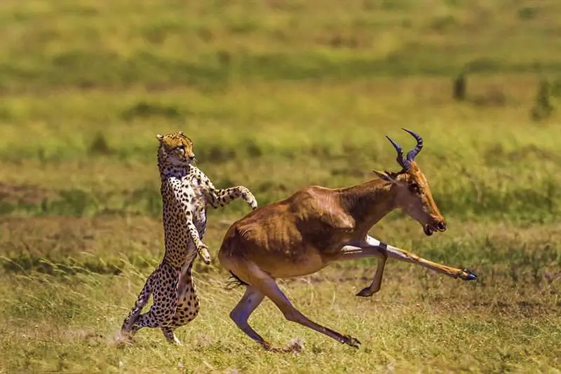 خارتوران