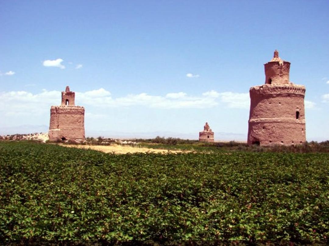 کبوتر خانه 