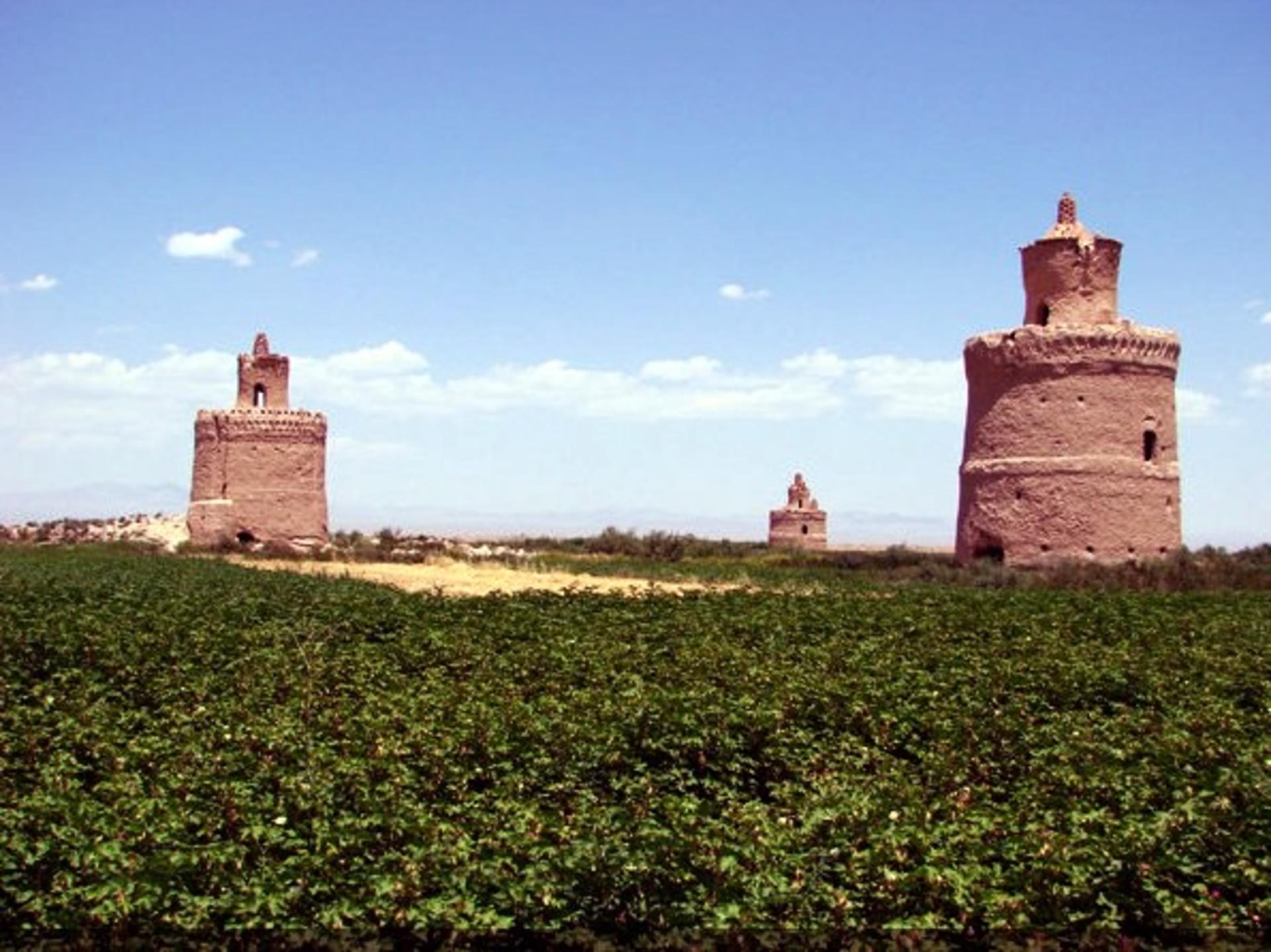 کبوتر خانه 