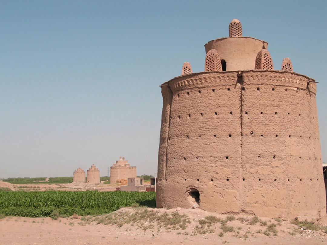 کبوتر خانه 