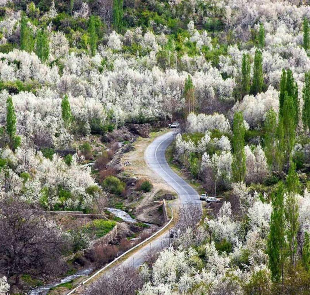 طبیعت بهاری و چشم نواز روستای بوژان
