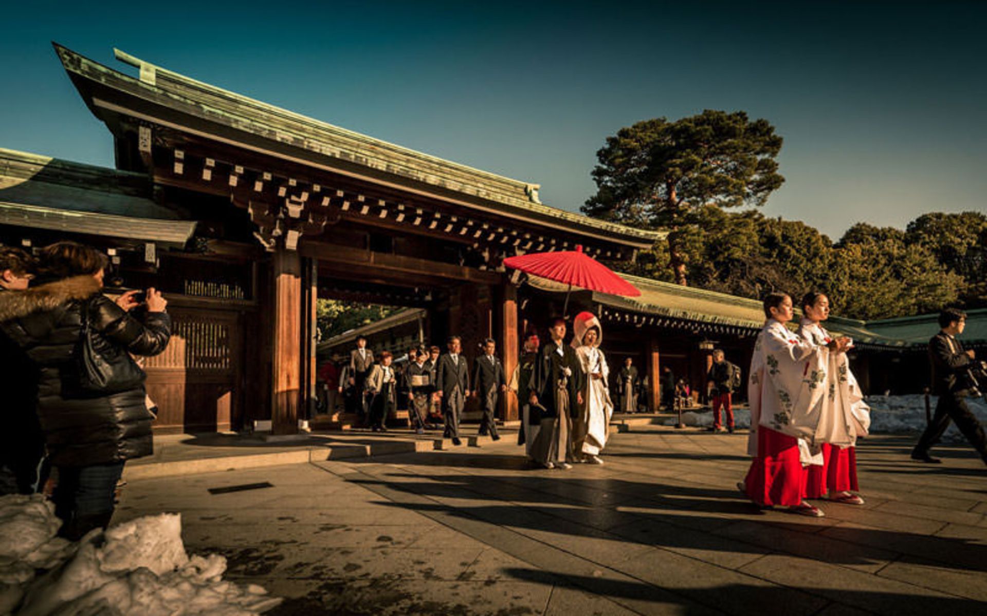 معبد میجی (The Meiji Shrine)