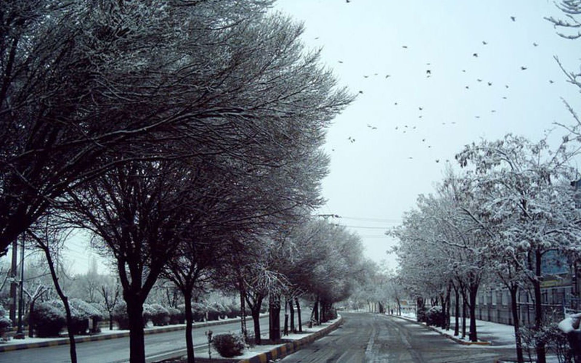 حمل و نقل زنجان