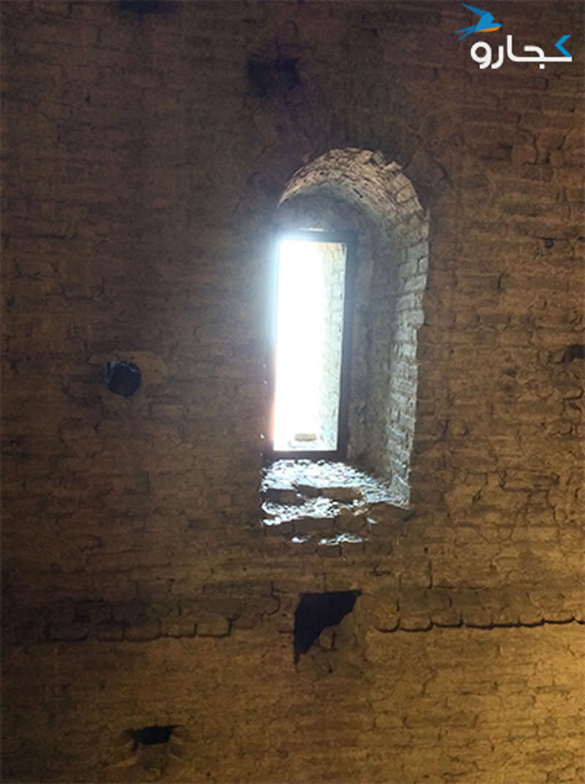 برج بولونیا
