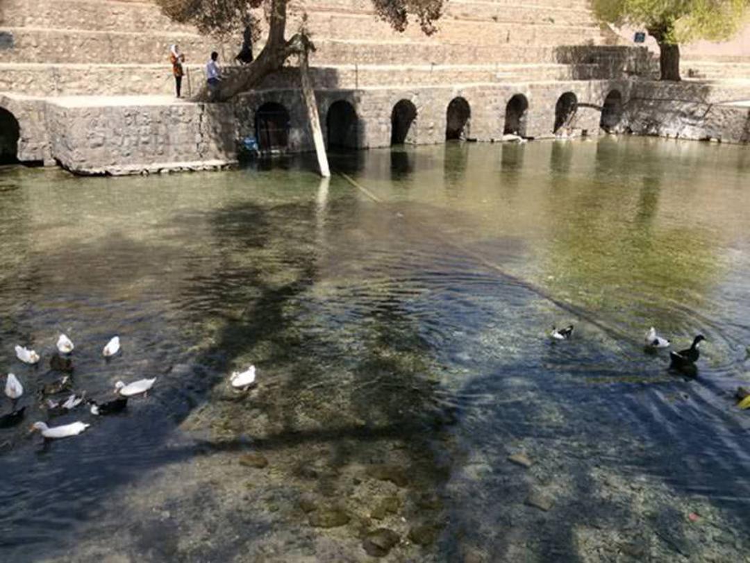 چشمه علی