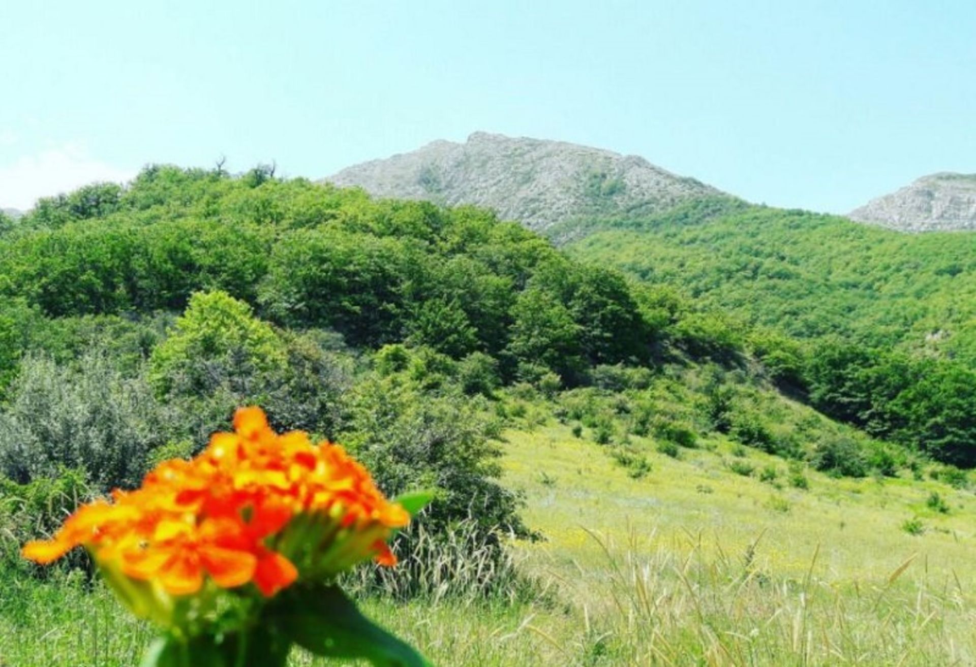 روستای درکش