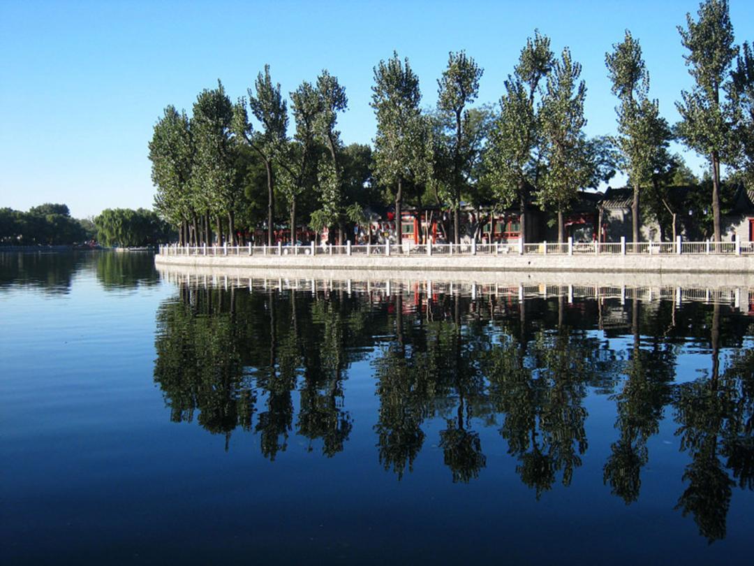 شیچاهای