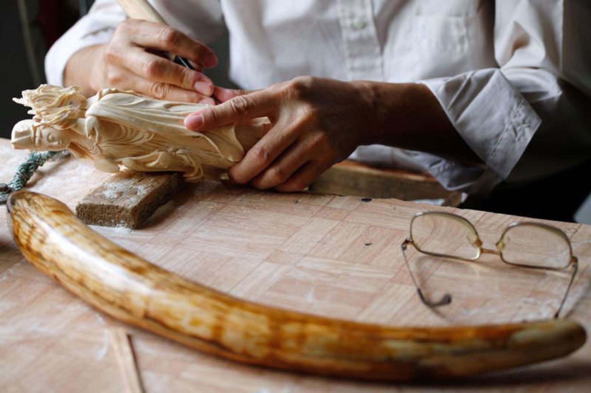 ممنوعیت عاج فیل