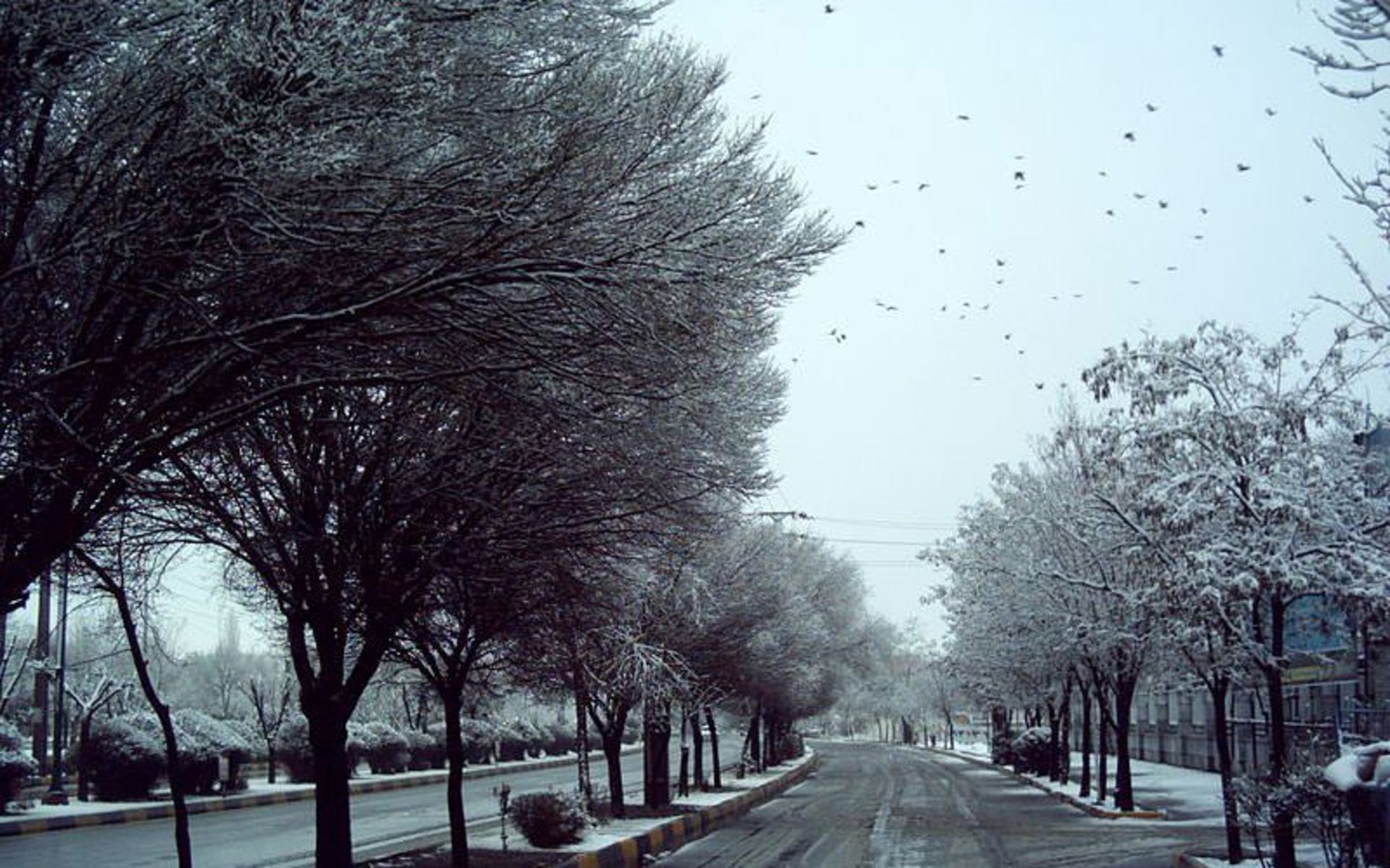 زنجان