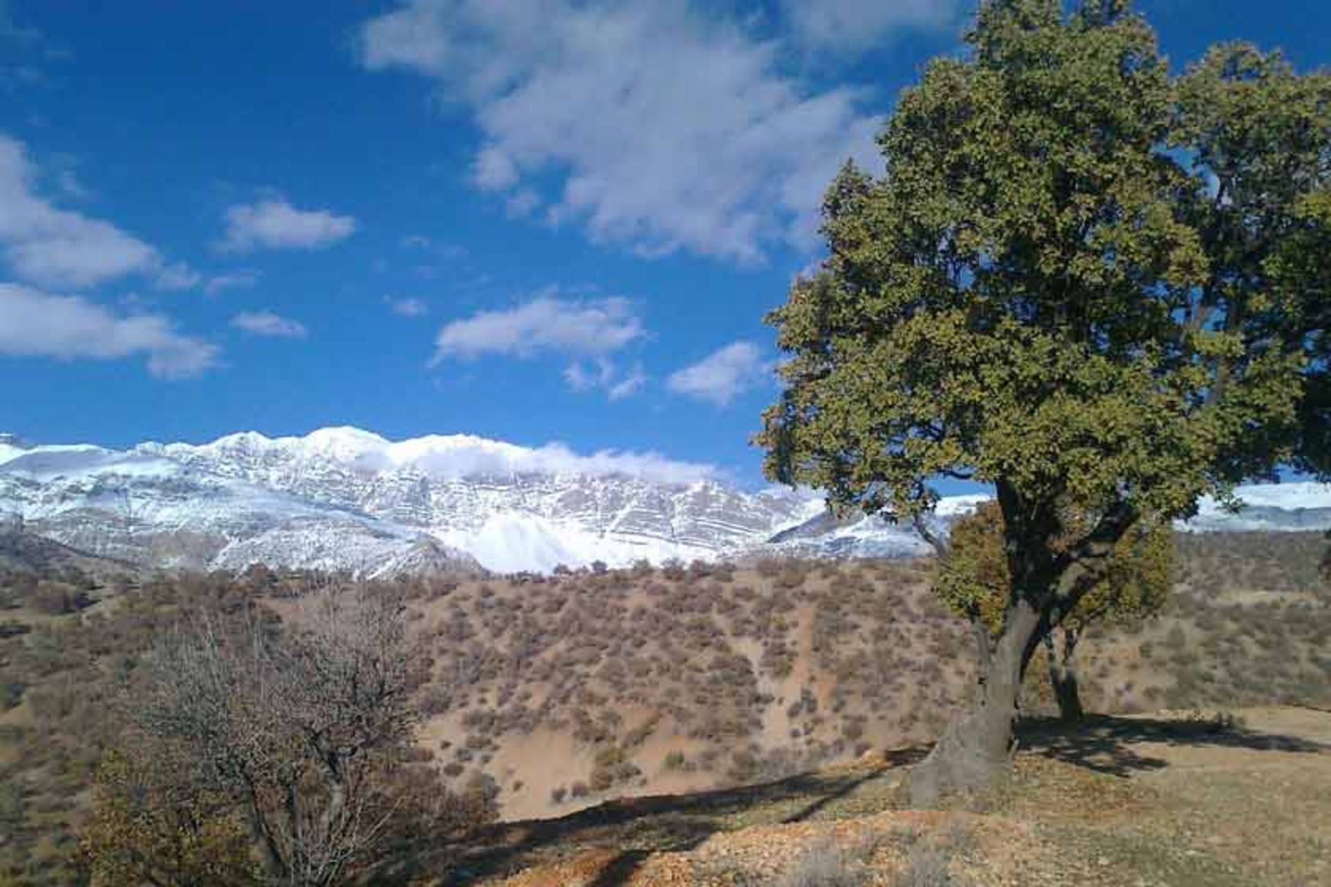 پارک جنگلی یاسوج