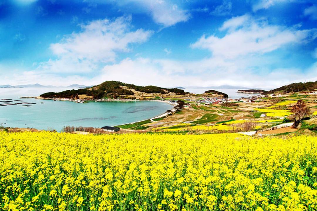 جزیره چونگساندو