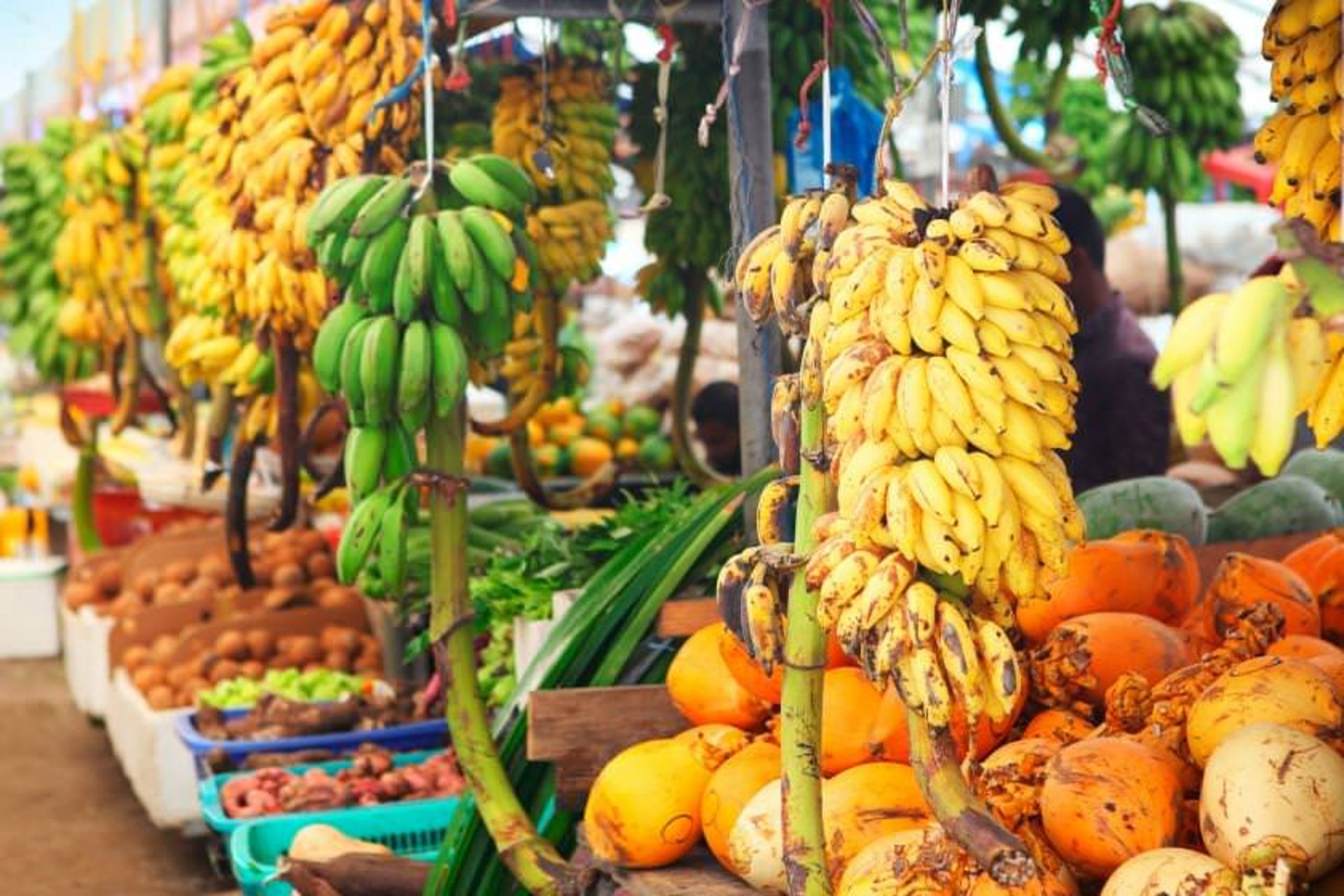 راهنمای خرید در مالدیو