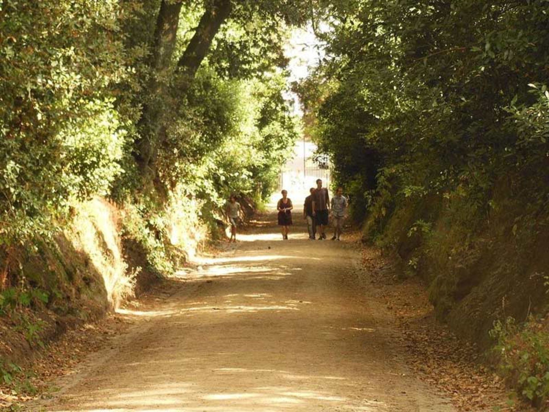 مسیرهای تونل مانند اروپا