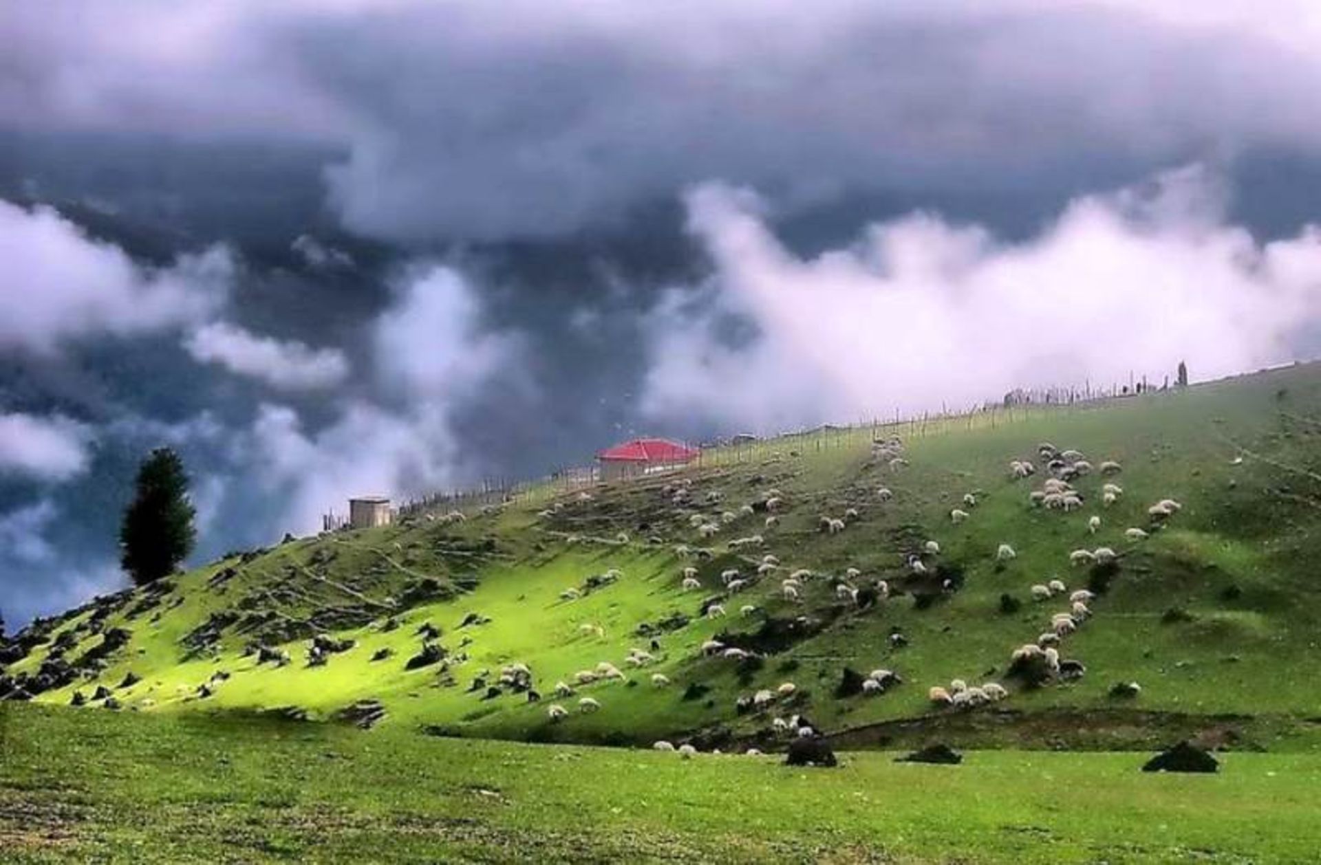 مسیر ییلاقی شالما
