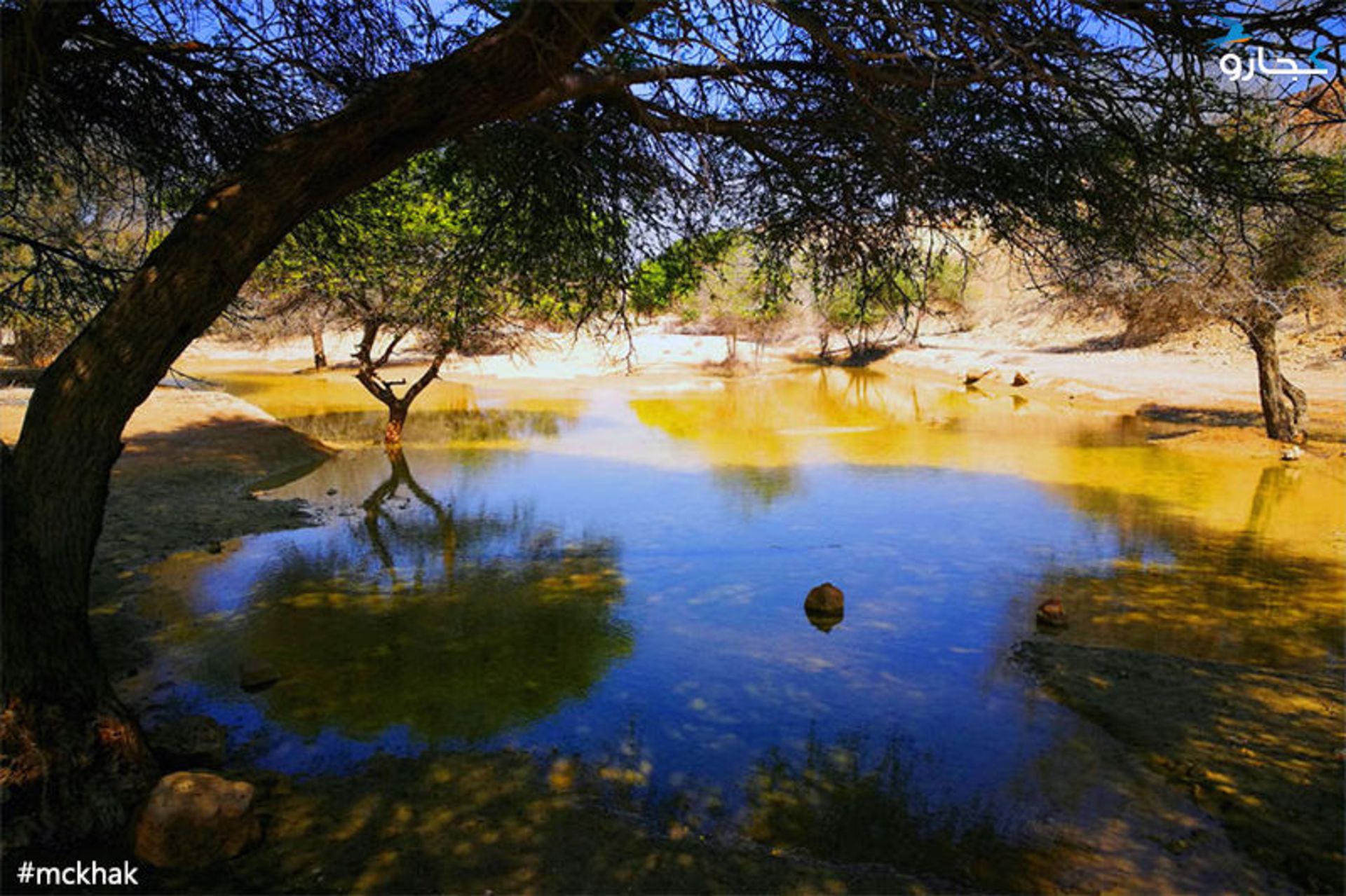 جزیره قشم 