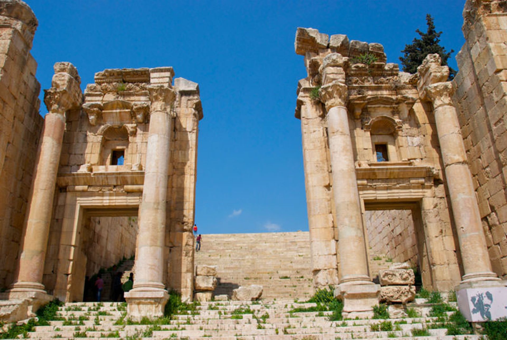 جراش اردن