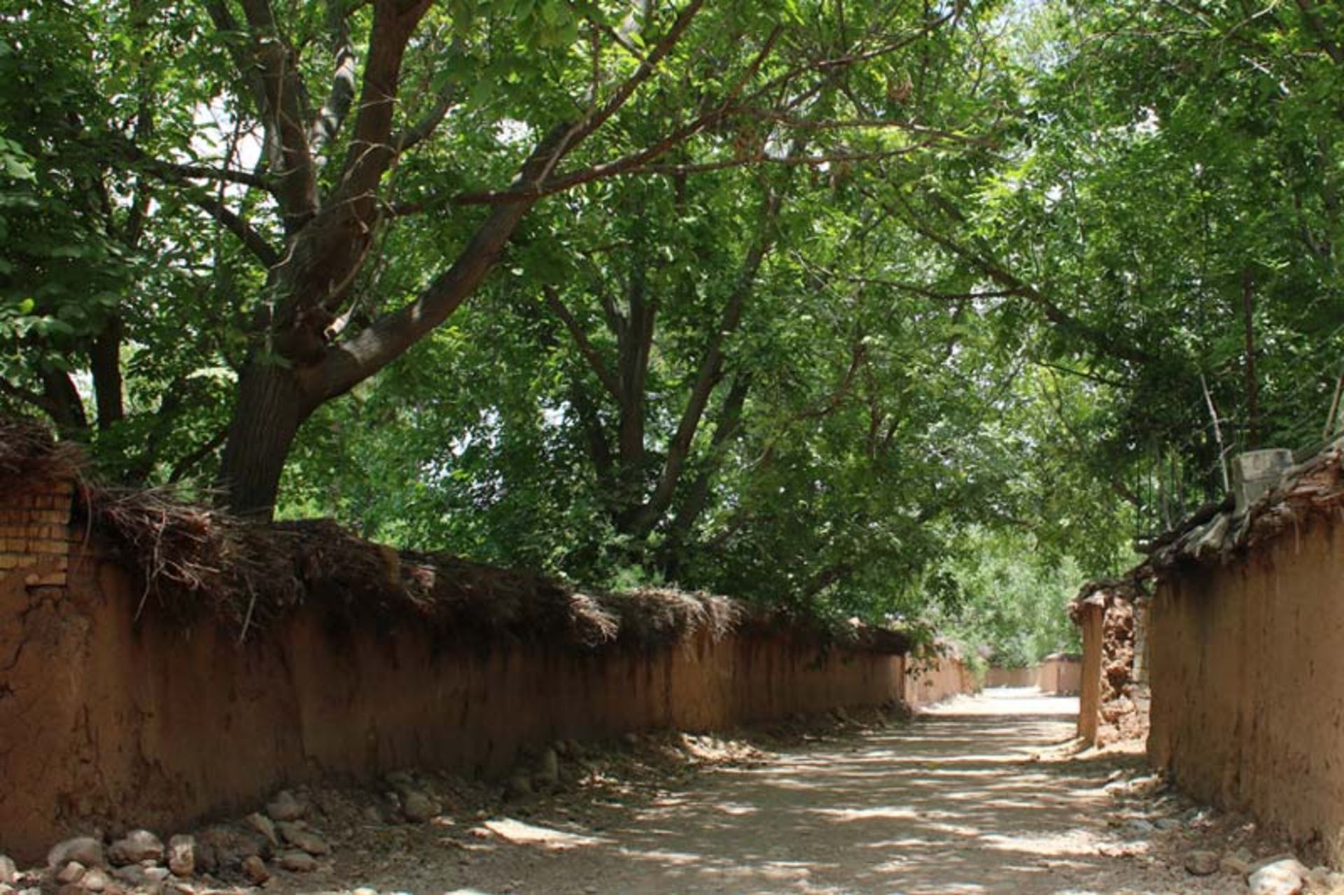 سفر به شیراز