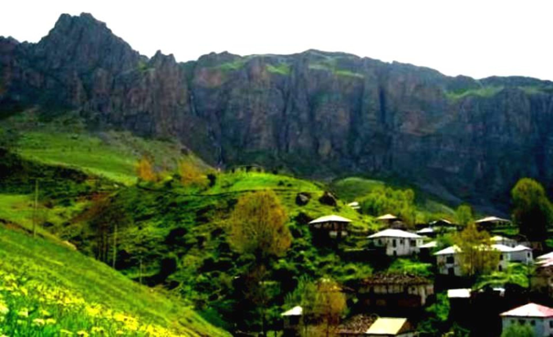 هریجان