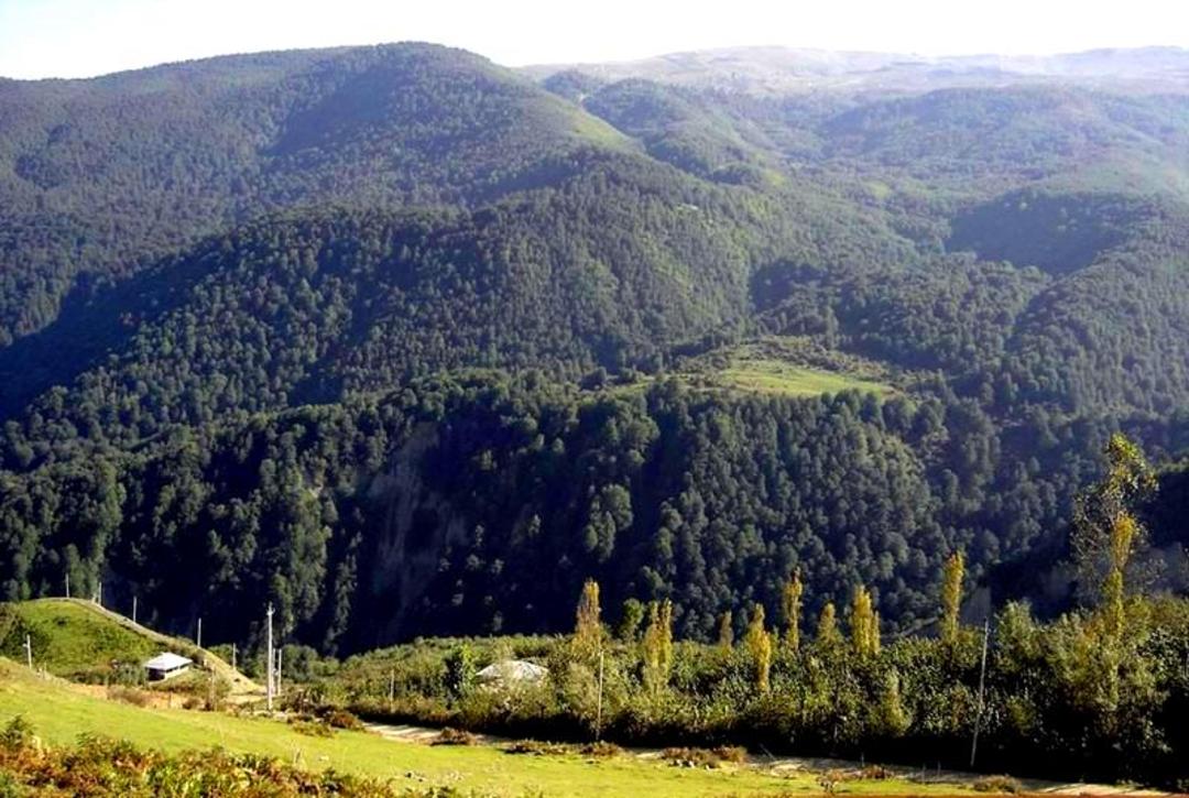  جواهر ده