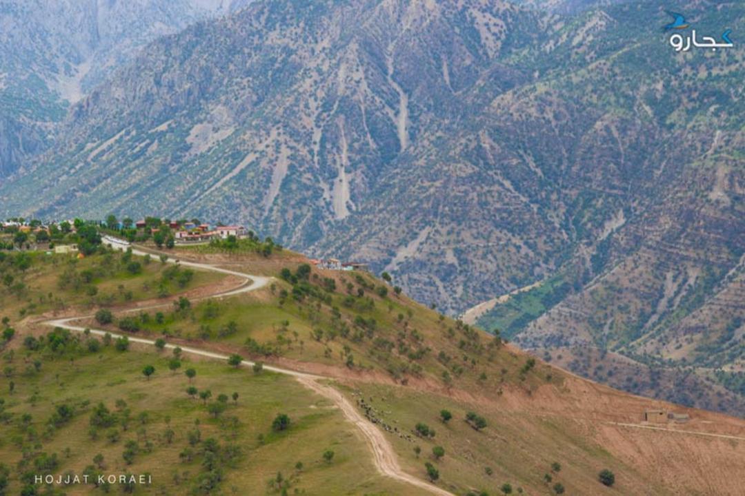 کمپ زراس