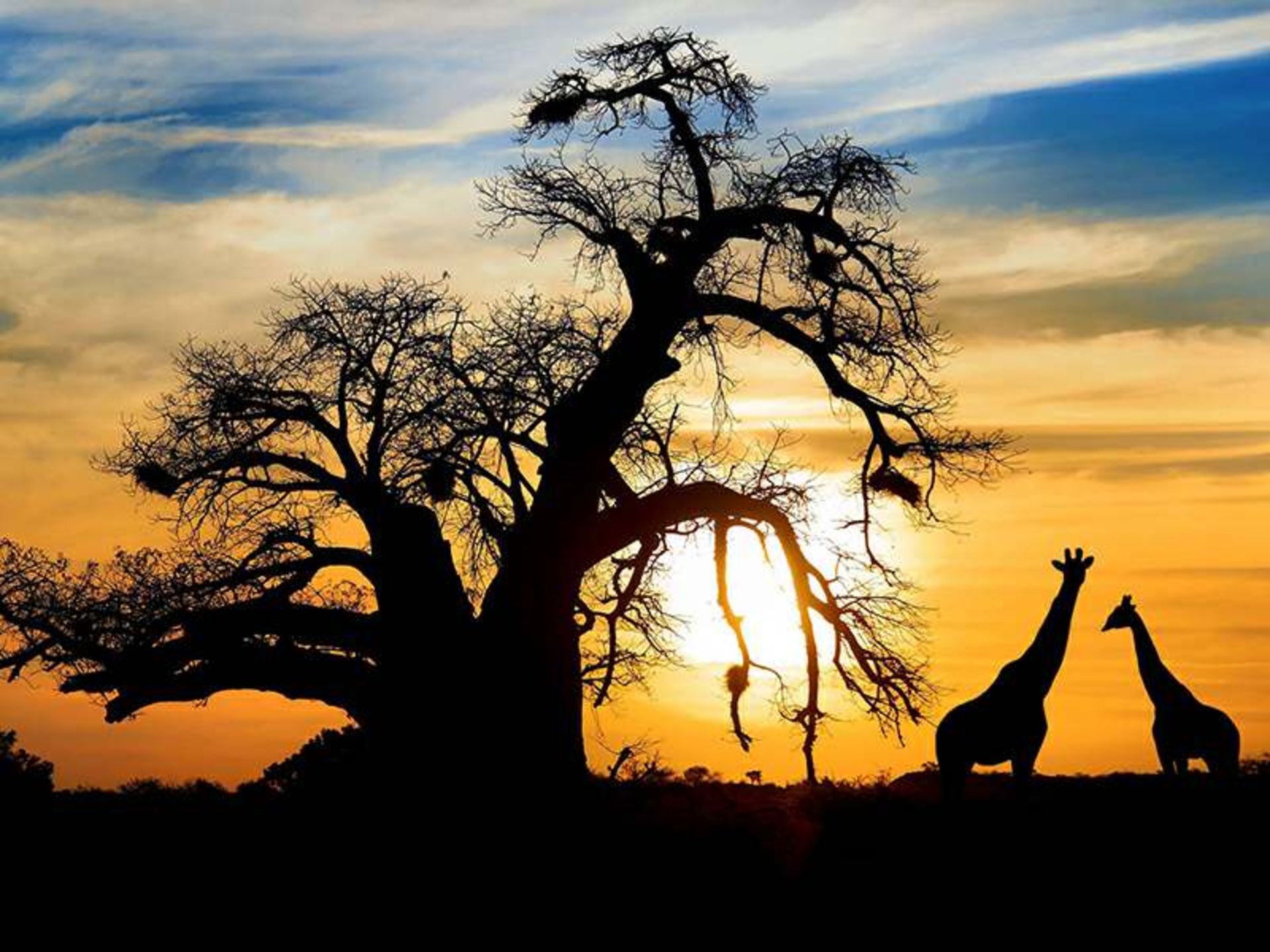 آفریقای جنوبی