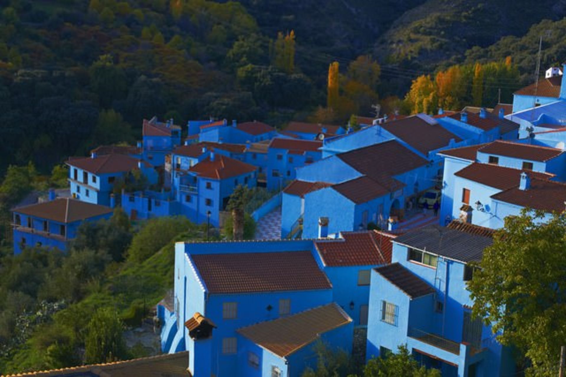 جوزکار