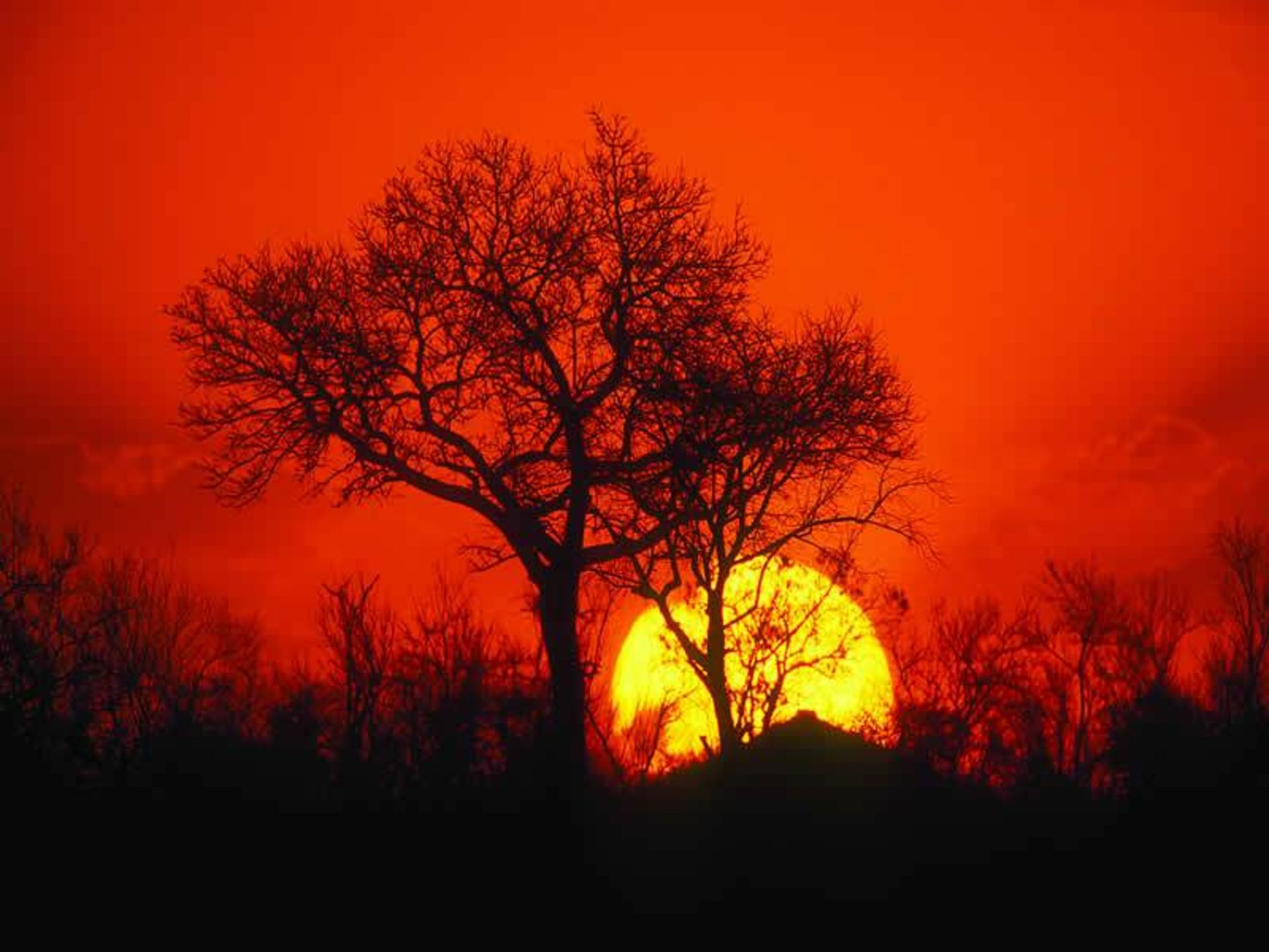 آفریقای جنوبی