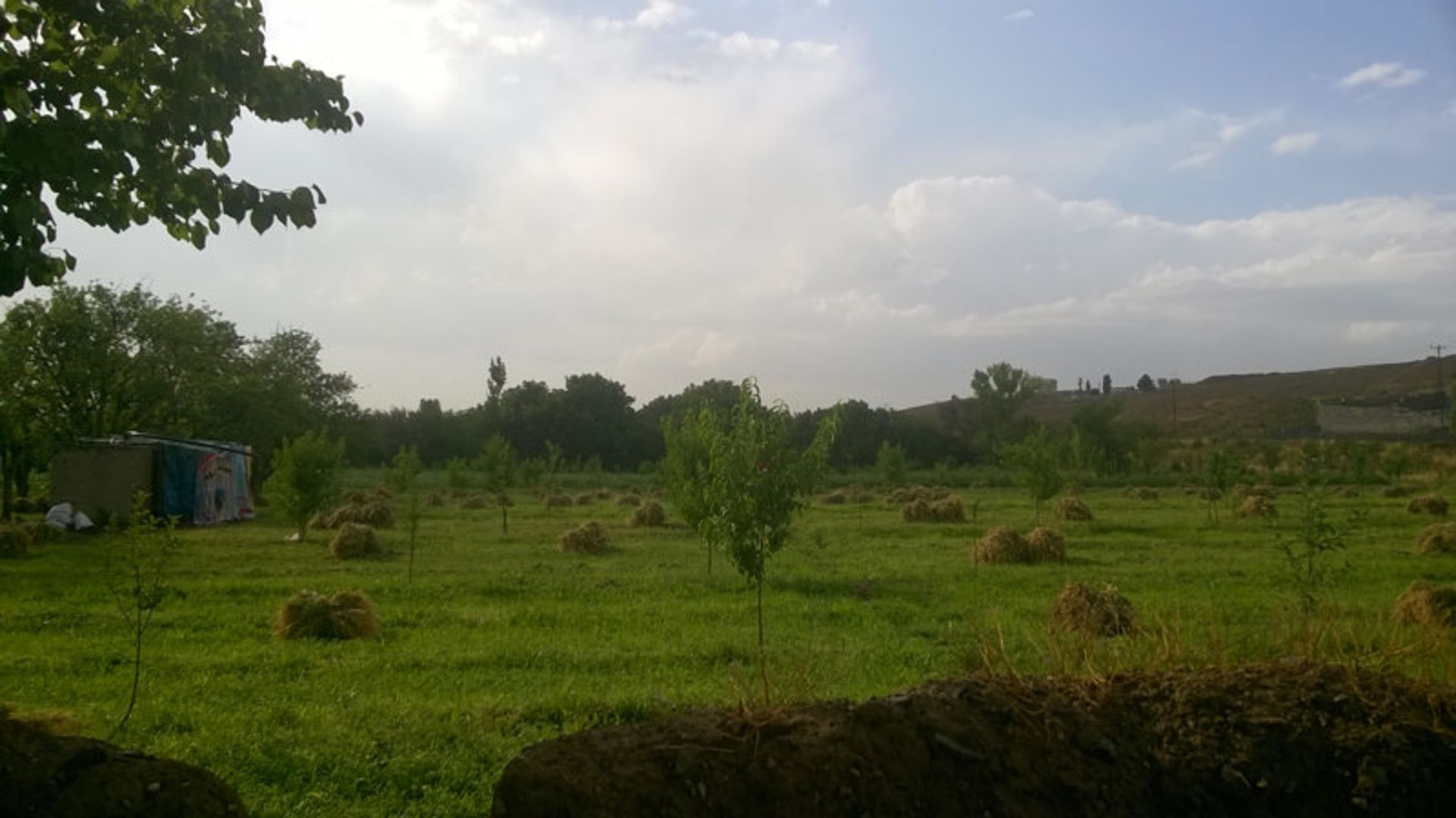 عکاسباشی