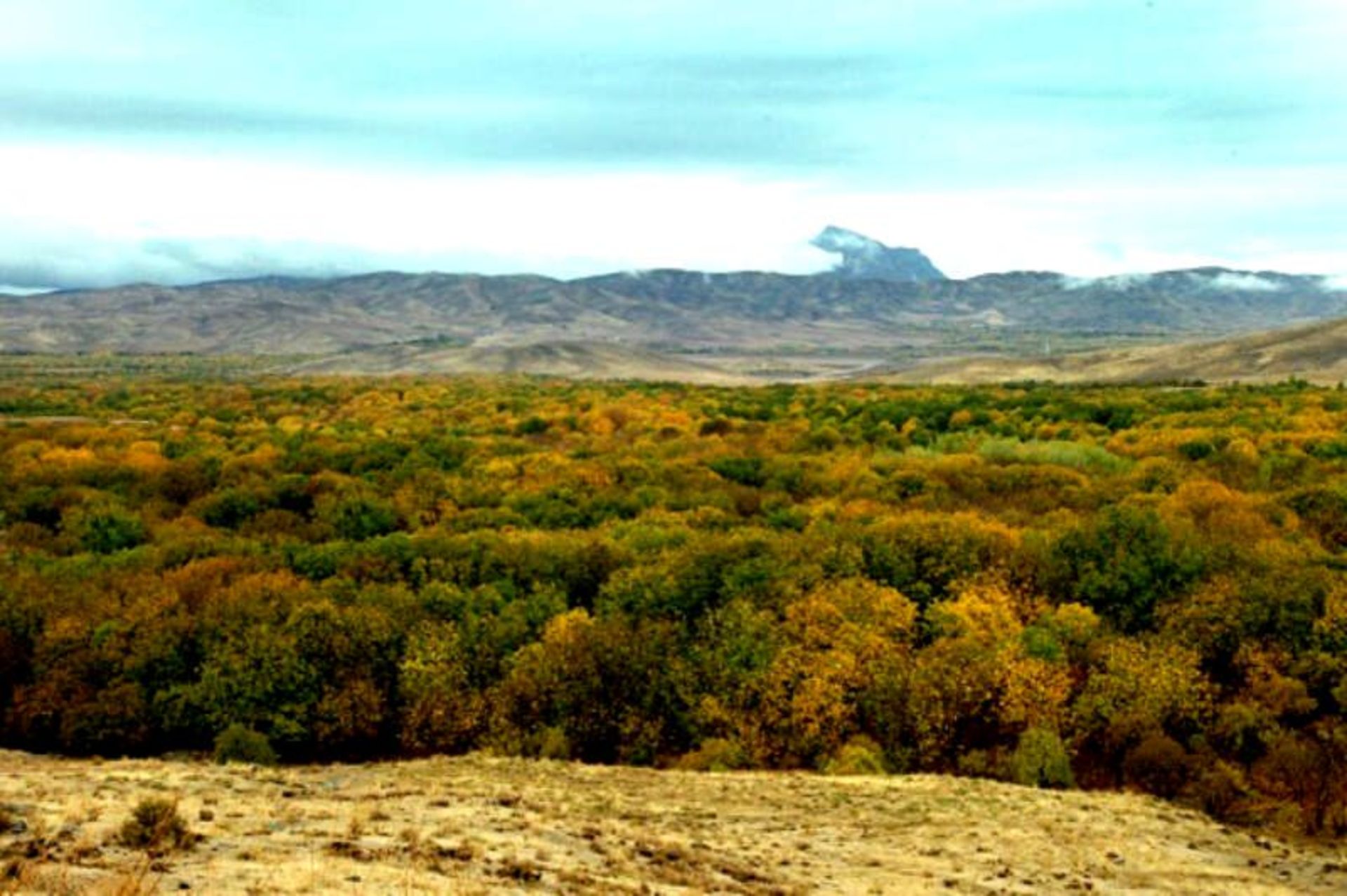 تویسرکان