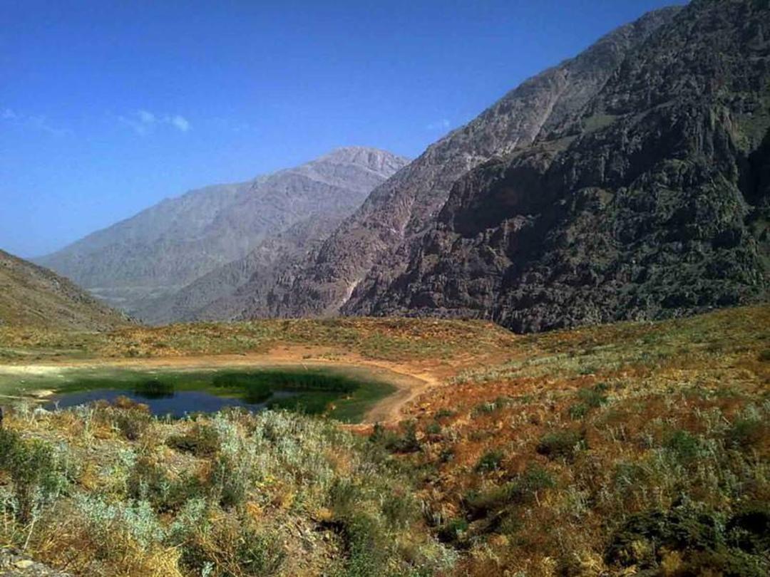 کوه گل