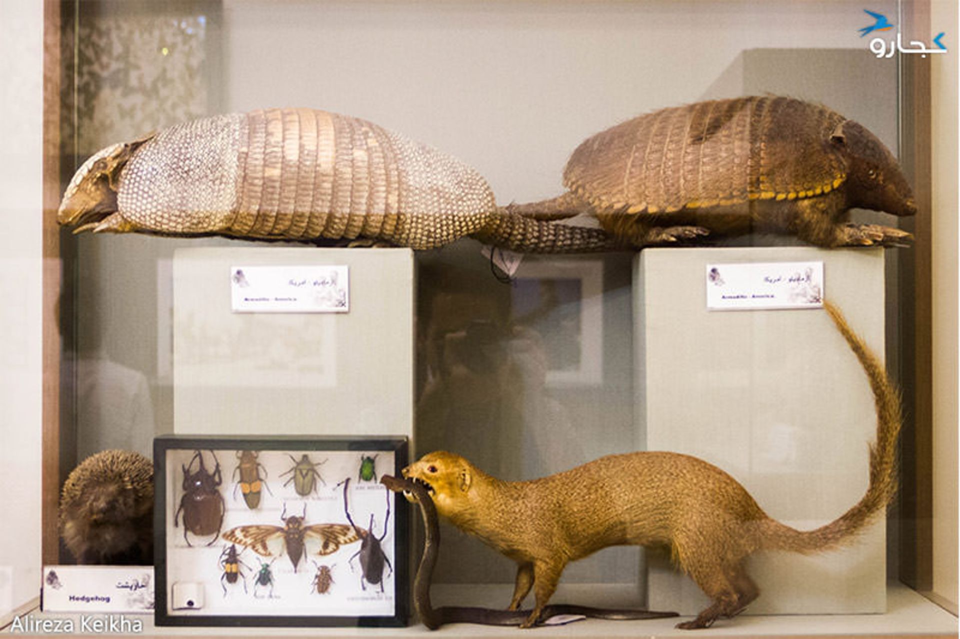 کاخ سعدآباد - نوروز