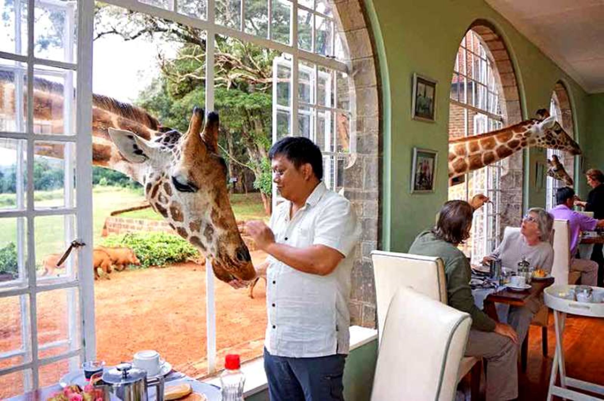 ۴- جیرافه مانور (Giraffe Manor) در کنیا